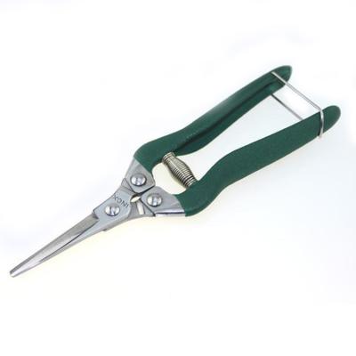 China Anti-Slip Handle Ratchet Blade Grape Fruit Shears Gardening Tools Clipper Shears for sale