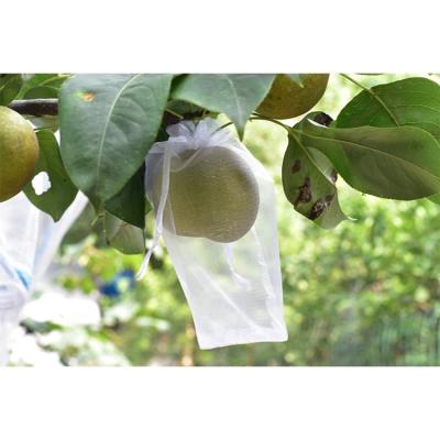 China Durable And Strong Fruit Waterproof Grow Bags 9cm*12cm Mango Grow Protective High Density Nylon Bag for sale