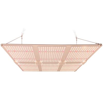 China Seed Starting Competitive Price Greenhouse Vegetable Greenhouse 600w Led To Grow Light for sale