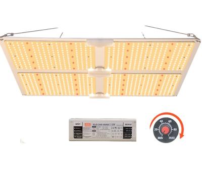 China Seed Starting Medium Good Driver Best Price Full Spectrum LM301h 4000K & 660nm LED Grow Light , Led To Grow Light 480w For Green House for sale