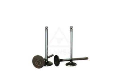 China Excavator spare parts 6D14 Intake And Exhaust Valves Fit Excavator for sale