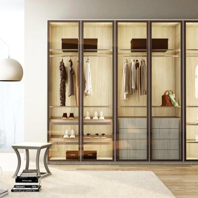 China Hot Selling Bedroom Wardrobe Furniture Adjustable Wardrobes Storage Glass Wardrobe (Size) for sale