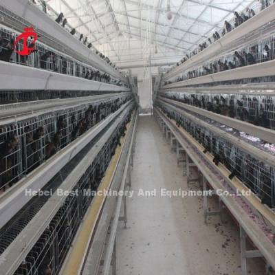 China Hot Galvanized A Type Automatic Drinking System Layer Cage In Farm Adela for sale