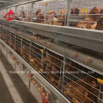 Chine Type automatique de la collection A d'oeufs de couche cage de poulet pour la ferme avicole Rose à vendre