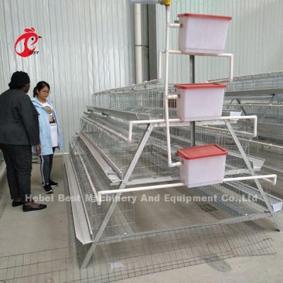 China Typ A Hühner 128 Vögel Geflügel Hühner Batterie Käfig System heiß getaucht galvanisiert für Nigeria Farm Doris zu verkaufen