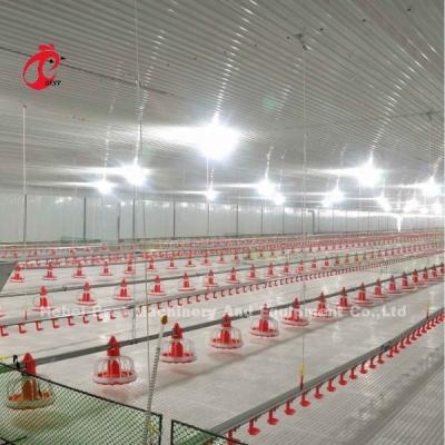 China Tipo de suelo de acero inoxidable Equipo de granja avícola Sistema automático de alimentación y bebida Adela en venta