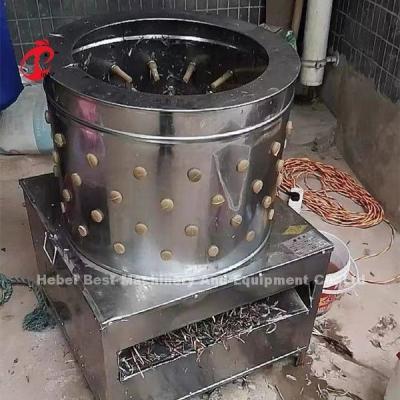 China Pluma del pollo del matadero 1100w de la granja avícola que despluma la máquina en Nigeria Doris en venta