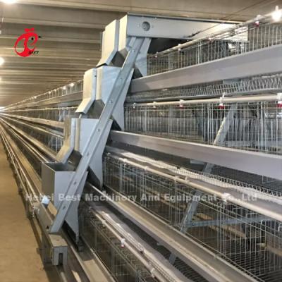 China Galinha automática da gaiola das aves domésticas da camada que cultiva soluções completas Rosa da casa da casa pré-fabricada à venda