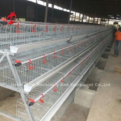 China Jaula de capas de aves de corral antirruja para gallinas ponedoras de huevos con 25 años de vida Emily en venta