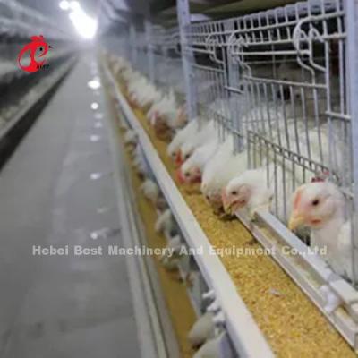 China 96 Vogels / 128 Vogels Broiler Cage System A Type of H Type in Afrikaanse markt Iris Te koop