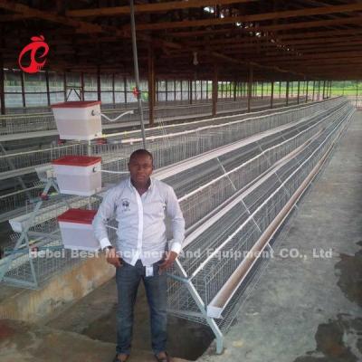 China Hot dip Galvanized Poultry Battery Cage System For Layer Farm Sandy zu verkaufen