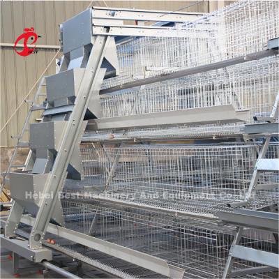 China Automatic Egg Layer Chicken Farm Laying Hens Poultry Battery Cages Rose for sale