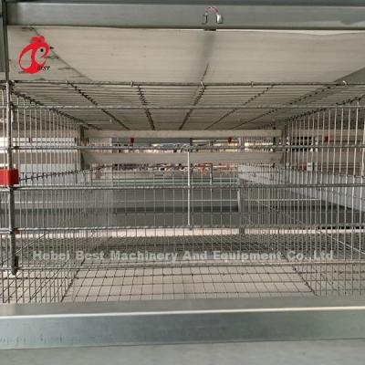 Chine 4 niveaux de cage de poulet équipement entièrement automatique à vendre