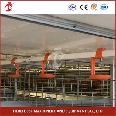 Cina Tipo automatico Chick Pullet Cage High Capacity del giorno scorso Adela della gabbia per polli moderna lunga H di durata della vita in vendita