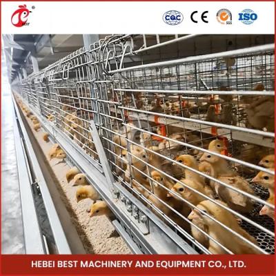 Chine 90-200 système automatique Rose de cage de poulet de capacité de poulets à vendre