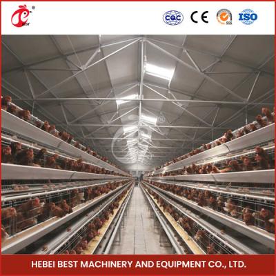 China A Type Full Automatic Chicken Cage Equipment For 20,000 Capacity Poultry Farm Sandy for sale