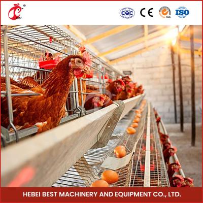 Chine Cage automatique de couche d'oeufs de batterie d'équipement de cage de poulet de 96 oiseaux pour les pondeuses dans l'iris du Nigéria à vendre