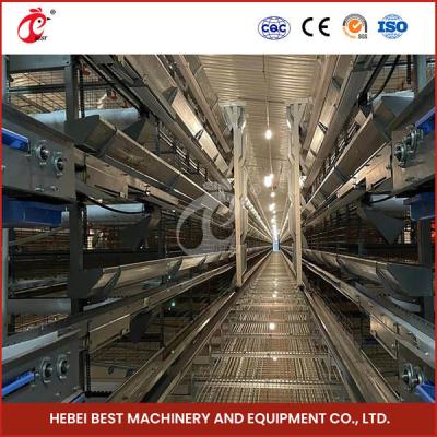 China Automatic Poultry Battery Cage System Layer Chicken Steel Cage Rose for sale