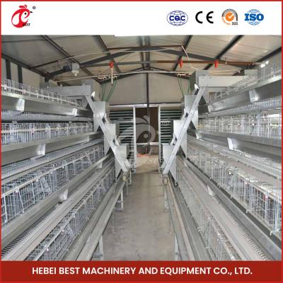 China Hot Galvanized Automatic 160 Chickens A Type Layer Cage Adela for sale