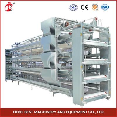 China H Type 30000 Birds Automatic Egg Layer Chicken Cage With Manure Conveyor Belt Ada for sale