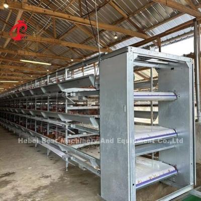 China Automatische Vogel-Hühnerbatterie der Schicht-160 für Geflügelfarm Emily zu verkaufen