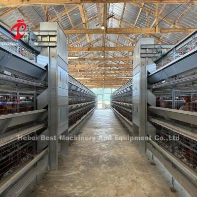 China 110kg Capacity Poultry Layer Cage with Automatic Nipple Drinkers for Poultry Houses Doris en venta