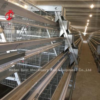 Chine 3/4/5 Tiers Battery Cage System for Automated Layer Chicken Poultry Farm Iris à vendre