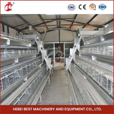 China 96 Vogels H-type automatische kippenkooi / een type broiler kippenkooi met schuifdeur roos Te koop