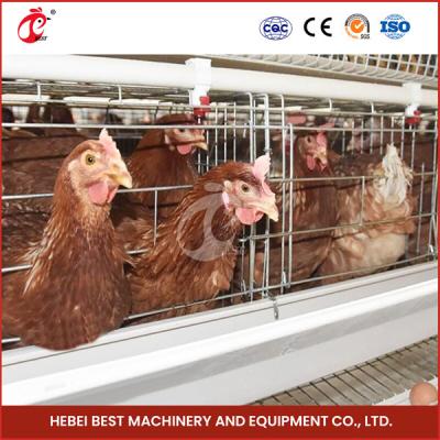 China 4-6 Birds Poultry Layer Cage with Hot Dip Galvanized Finish Star zu verkaufen