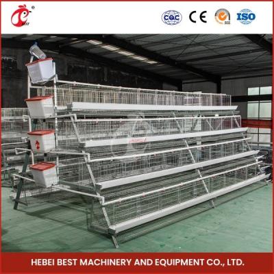 China 96-200 Birds Per Layer Efficient Poultry Battery Cage System Star zu verkaufen