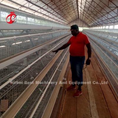 China 96-200 Birds Capacity White Layer Cage in Nigeria Hot Dip Galvanized Steel Star zu verkaufen