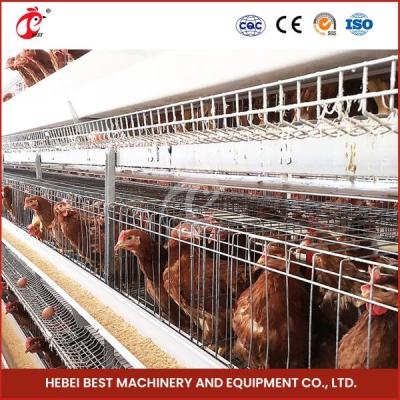 Китай 80-100kg Cage Weight H Shaped Automatic Chicken Chick Cage Automatic Chicken Cage Rose Rose For Layers Rose продается