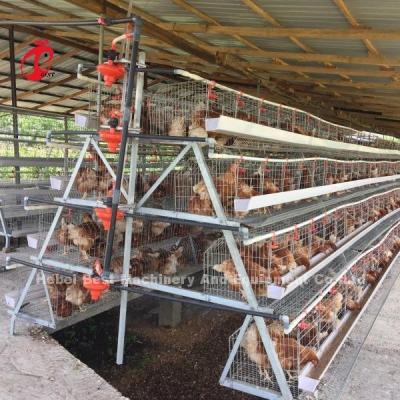 China 3 Tier 120 Birds And 4 Tier 160 Birds Layer Battery Cage System For Uganda Tanzania Poultry Farm Sandy for sale