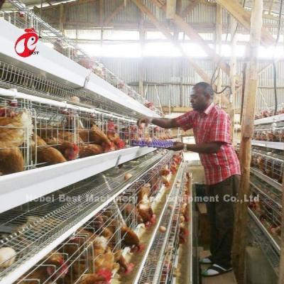 China Layer 3 Or 4 Tier Battery Cage System For 500-1000 Birds Iris for sale