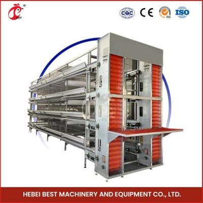 China Imported Galvanized Cage System Automatic Feeding Hopper Electro Galvanized For Nipple Drinkers Rose for sale