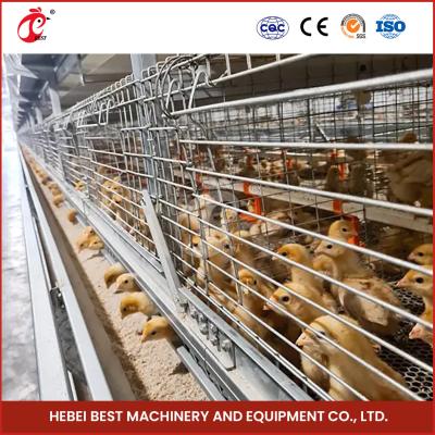 China Galvanized Poultry Farming Cage System With 2.8-3.5mm Cage Wire Diameter Mia à venda