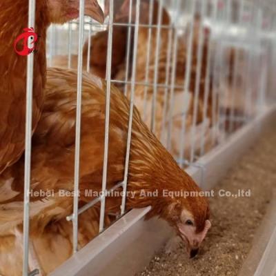 中国 3-Tier Galvanized Poultry Cage System Mia 販売のため