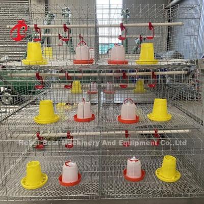 Chine Rangées de la cage 3 de poulet à rôtir de ferme avicole, un type cage de batterie pour des poulets à rôtir Doris à vendre