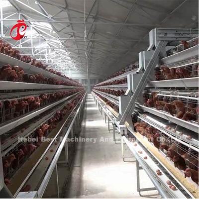 China Um tipo sistema automático da gaiola da camada com equipamento das aves domésticas na íris de Nigéria à venda