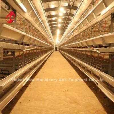 China El tipo automático completo gallinas de H de las jaulas de batería es venta caliente en el mercado Mia de África en venta