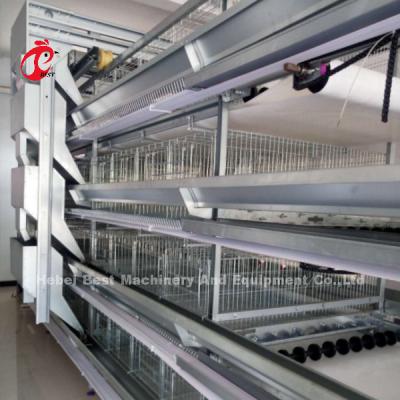 China H y tipo automático de aves de corral de la jaula 15000 aves populares en África rosa en venta