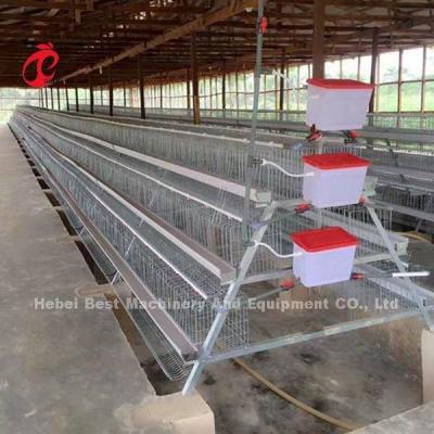 Chine Système commercial 2.0m*2.0m*1.45m de cage de batterie de couche de poulet en étoile du Nigéria à vendre