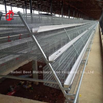 China La inmersión caliente de 3 gradas galvanizó la jaula del pollo de la granja avícola, venta caliente Mia de la jaula del pollo de la capa en venta