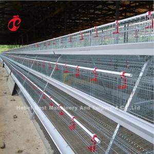 Chine Type cage de 120 poulets A de batterie de couche d'équipement Mia de volaille à vendre