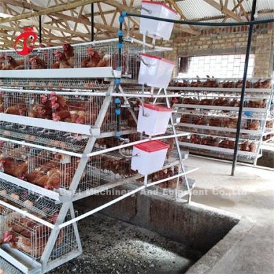 Chine 4 rangées posent des cages de batterie de poulet automatiques en ADA de l'Ouganda à vendre