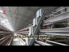 A Type Automatic Chicken Cage Equipment 4 / 5 Tier For Poultry Farm