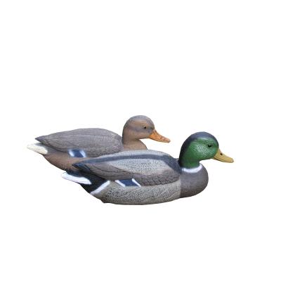 China Mallard Rubber Duck 15.5