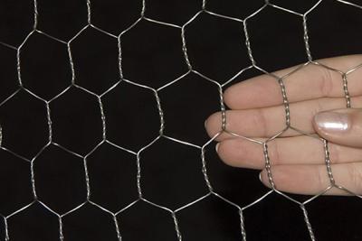 China Hexagonal wire mesh for sale