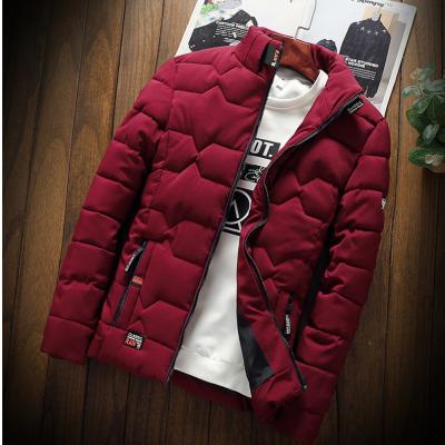 China 2021 Sweater Men's Solid Color Striped Fashion Lapel Plus Velvet Padded Winter Coat Clothes Insulation And Winter Cold Protection for sale