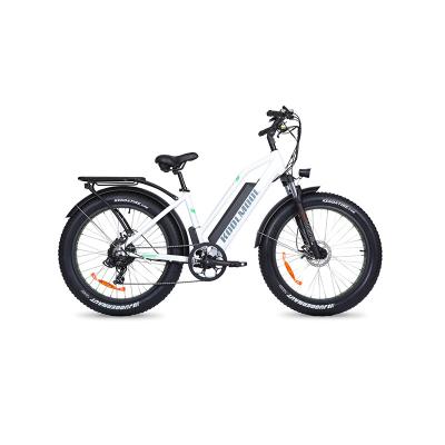 China hot sale e bike aluminum alloy style speed electric bike for adults cybertrack 100 adult bicycle electric bicycle for sale